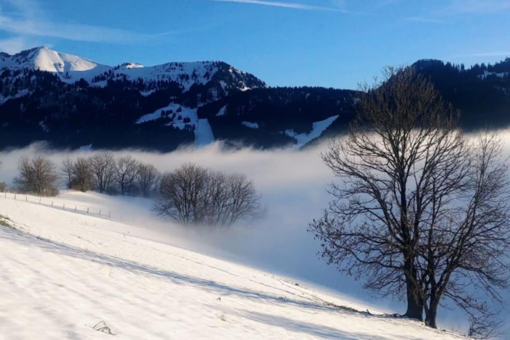 Jolie Vue Au Calme Apartman Évian-les-Bains Kültér fotó